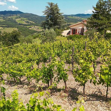 Tenuta Il Poggetto Radda in Chianti Exterior photo